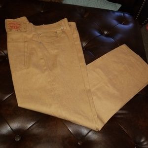 Goldish Brown 501 revise